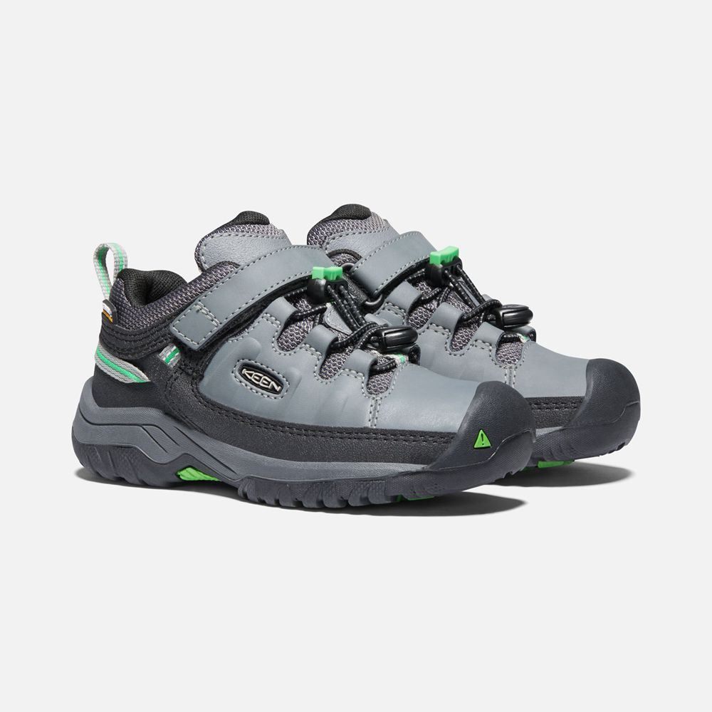 Chaussure de Randonnée Keen Enfant porno/Vert | Targhee Waterproof | ZFSQK-1294